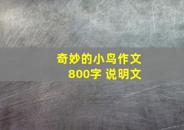 奇妙的小鸟作文800字 说明文